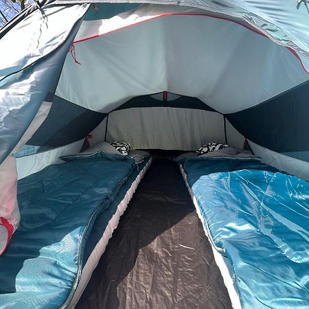 The Esn Kingsday Campsite Amsterdam Exterior photo