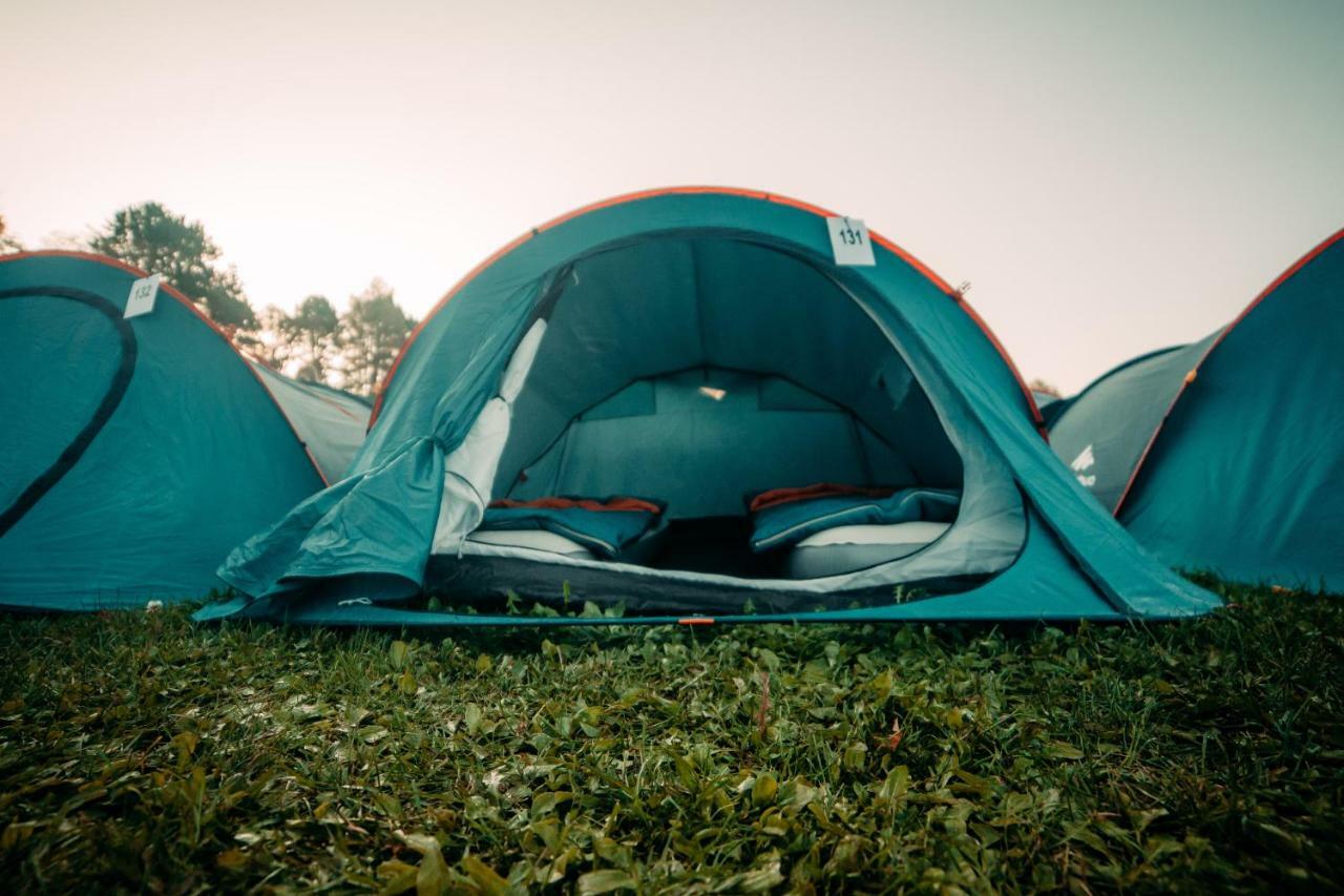 The Esn Kingsday Campsite Amsterdam Exterior photo